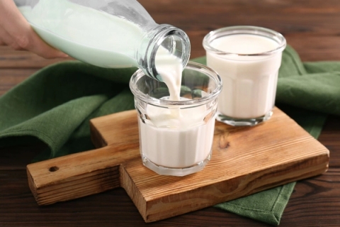 Lactoferrin có tác dụng gì