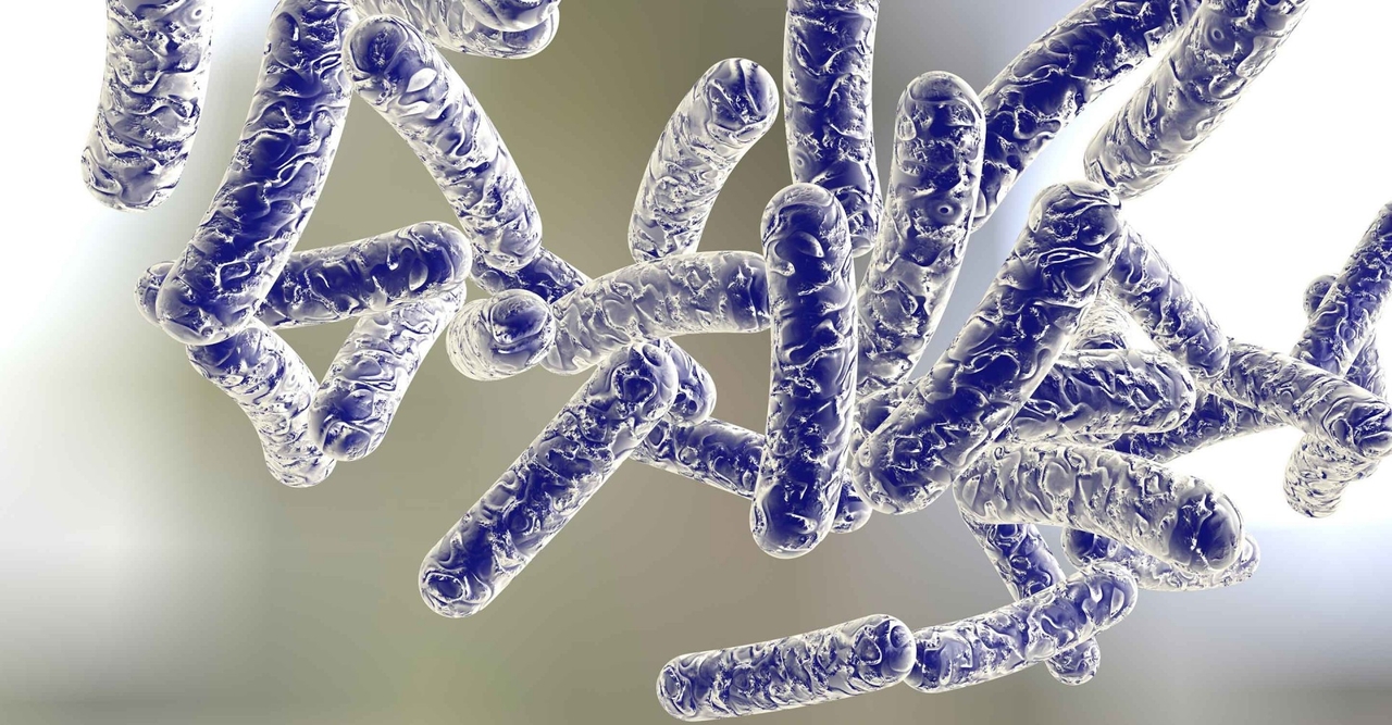 Vi Khuẩn Legionella