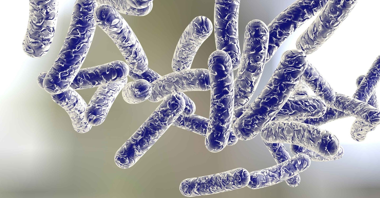Vi Khuẩn Legionella