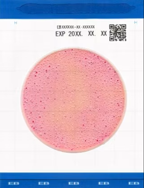 Đĩa Easy Plate EB kiểm tra Enterobacteriacea