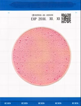 Đĩa Easy Plate EB kiểm tra Enterobacteriacea