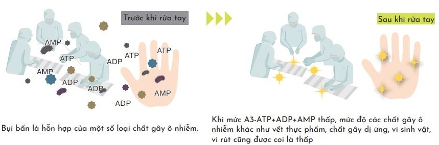ATP, ADP, AMP là gì