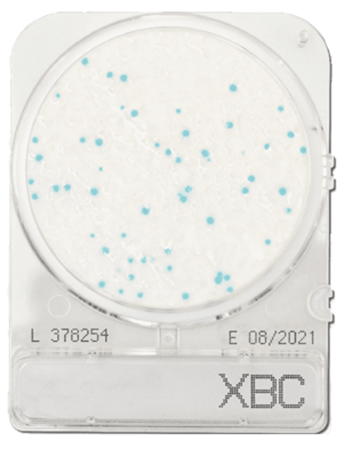 Compact Dry BC Bacillus Cereus