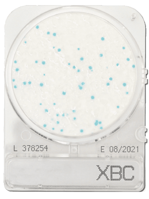 Đĩa Compact Dry BC Bacillus cereus