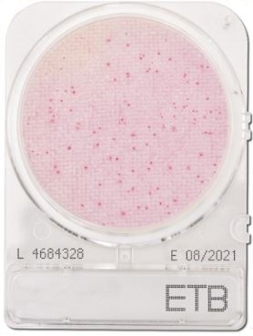 Compact Dry ETB Enterobacteriaceae