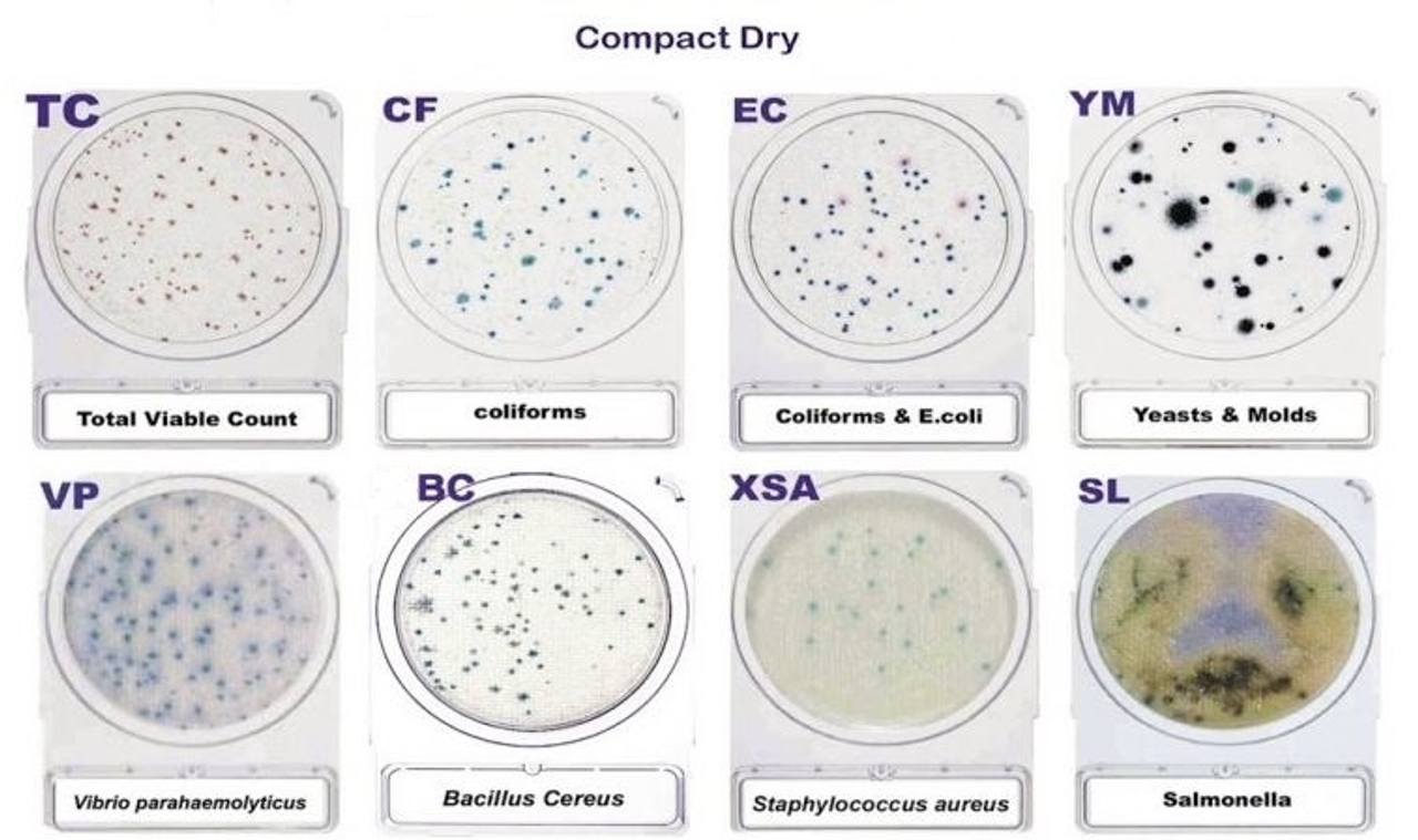 Đĩa môi trường đổ sẵn thạch Compact Dry