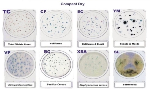 Đĩa môi trường đổ sẵn thạch Compact Dry