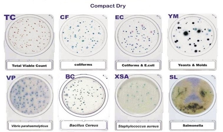 Đĩa môi trường đổ sẵn thạch Compact Dry