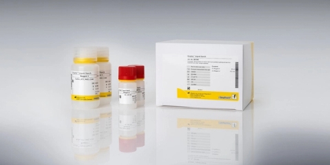 Kit kiểm tra tinh bột tự nhiên trong thực phẩm