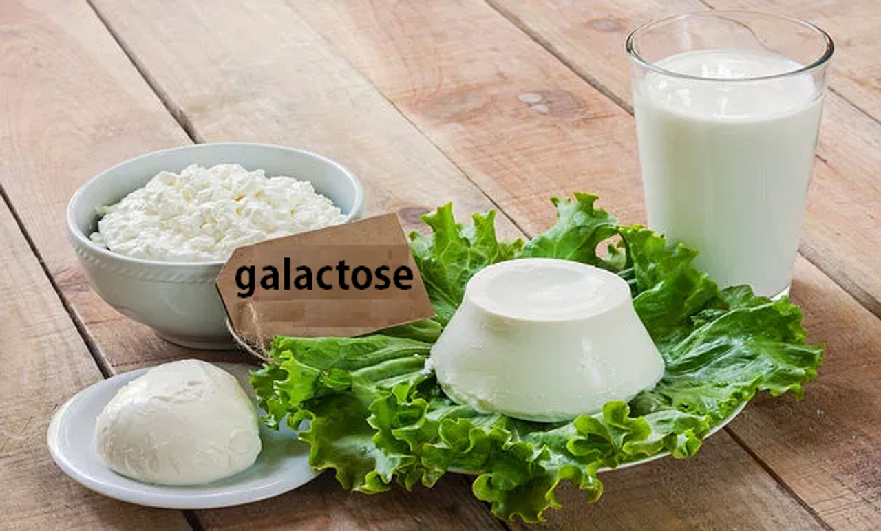 Galactose có trong thực phẩm nào