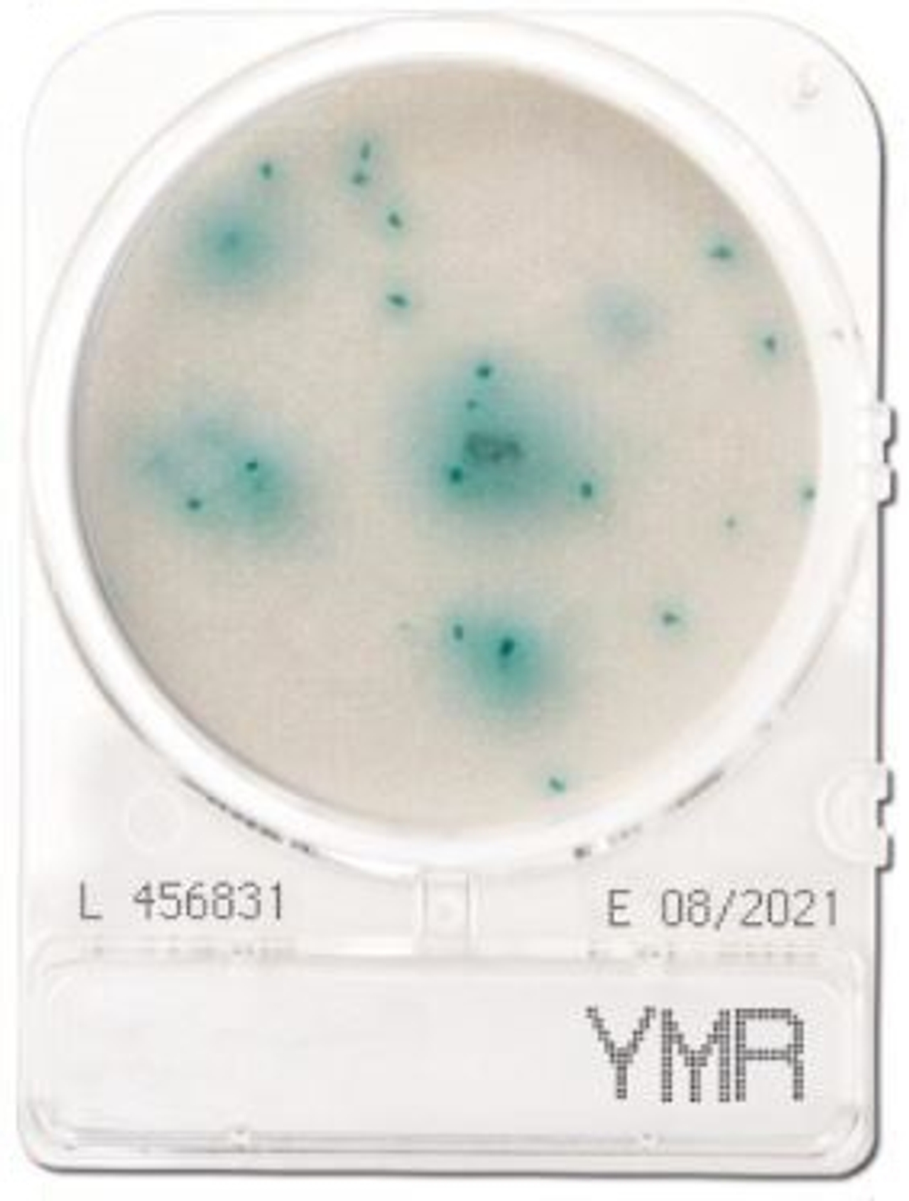 Đĩa compact dry nấm men và nấm mốc (Yeast and Mold)