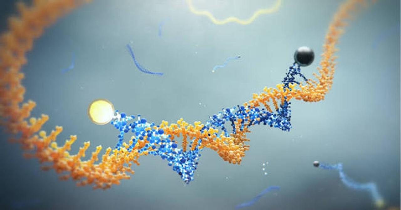 Dịch vụ thiết kế qPCR probes