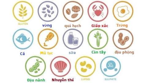Quy định về chất gây dị ứng trong thực phẩm