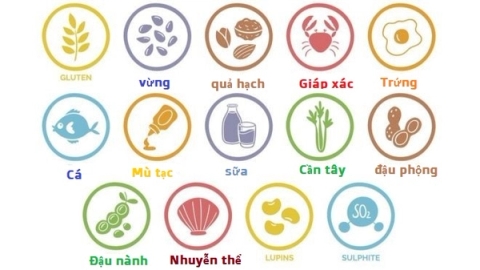 Quy định về chất gây dị ứng trong thực phẩm