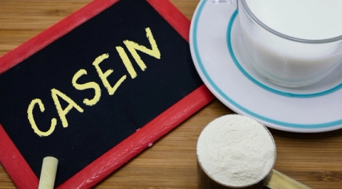Dị ứng Casein