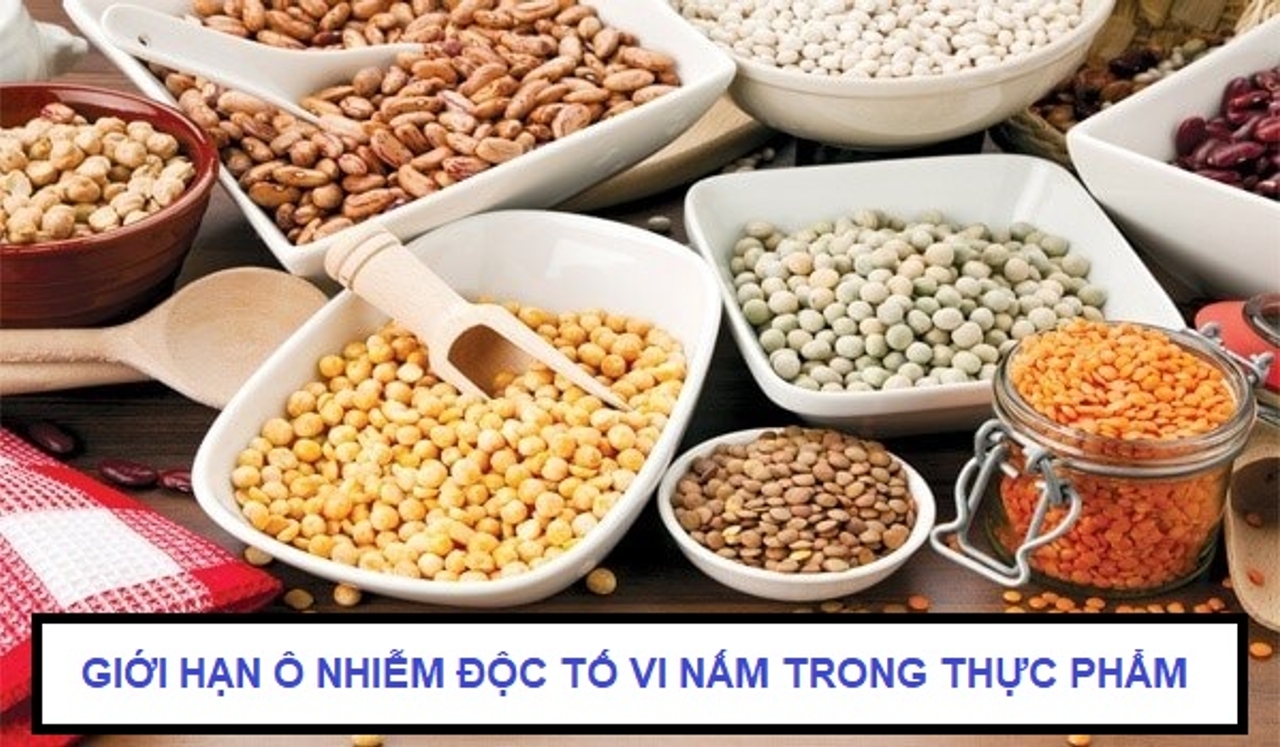 Giới hạn ô nhiễm độc tố vi nấm trong thực phẩm