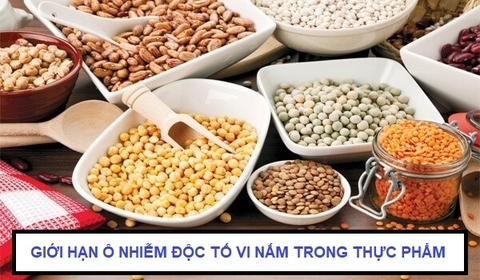 Giới hạn ô nhiễm độc tố vi nấm trong thực phẩm