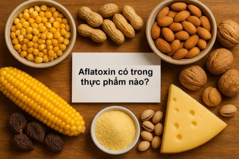 Aflatoxin có trong thực phẩm nào