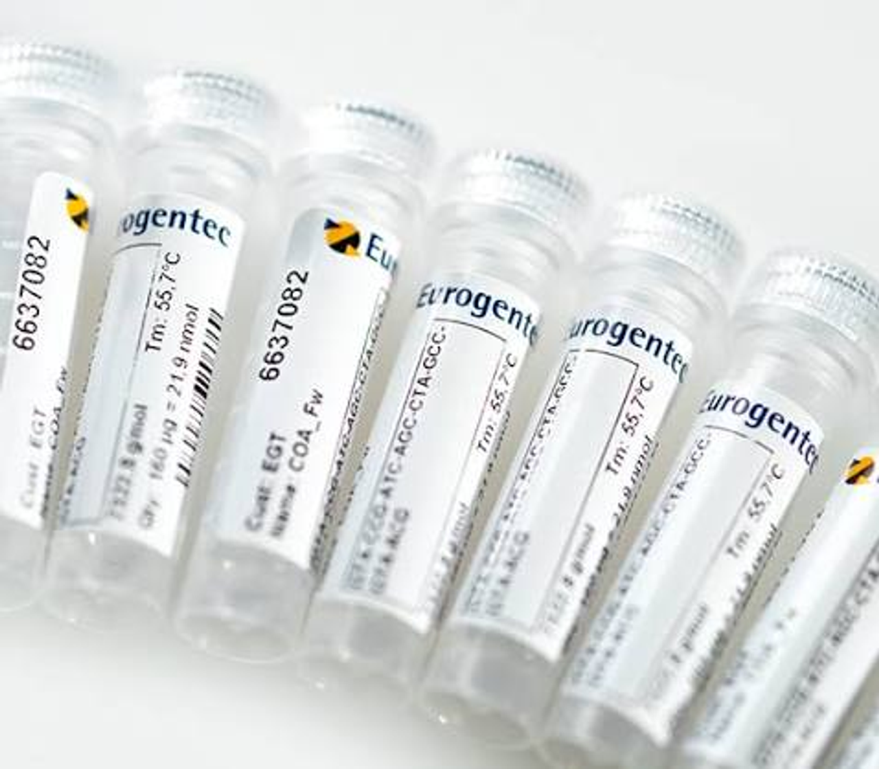 CUSTOM OLIGO – OLIGONUCLEOTIDE TỔNG HỢP THEO YÊU CẦU