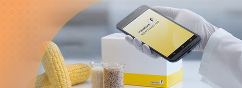 Phân tích độc tố nấm mốc Mycotoxin qua điện thoại thông minh