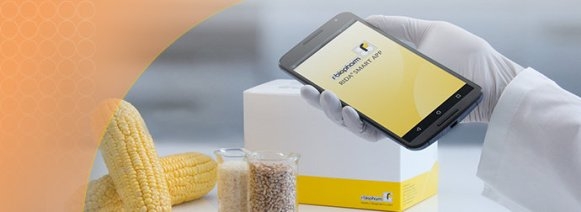 Phân tích độc tố nấm mốc Mycotoxin qua điện thoại thông minh