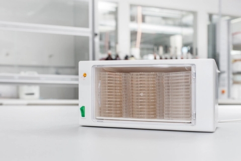 Tủ ấm vi sinh mini