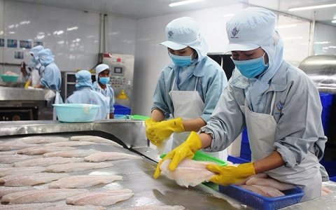 Thử nghiệm ATP tại các nhà máy thủy sản