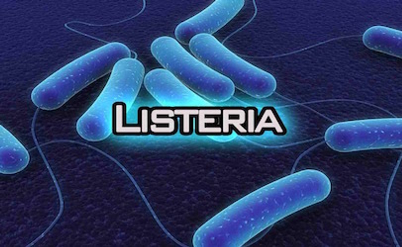 Vi khuẩn Listeria spp