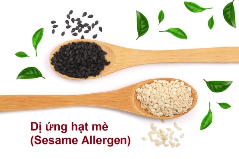 Kiểm tra dị ứng mè (Sesame)