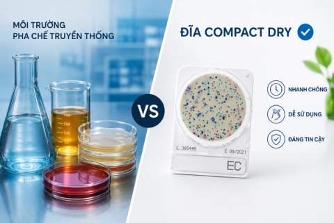 Khi nào nên chọn Compact Dry thay vì môi trường pha chế truyền thống