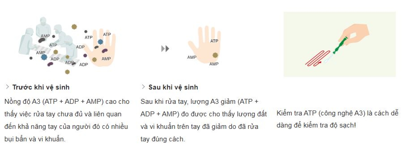 Thử nghiệm ATP là gì