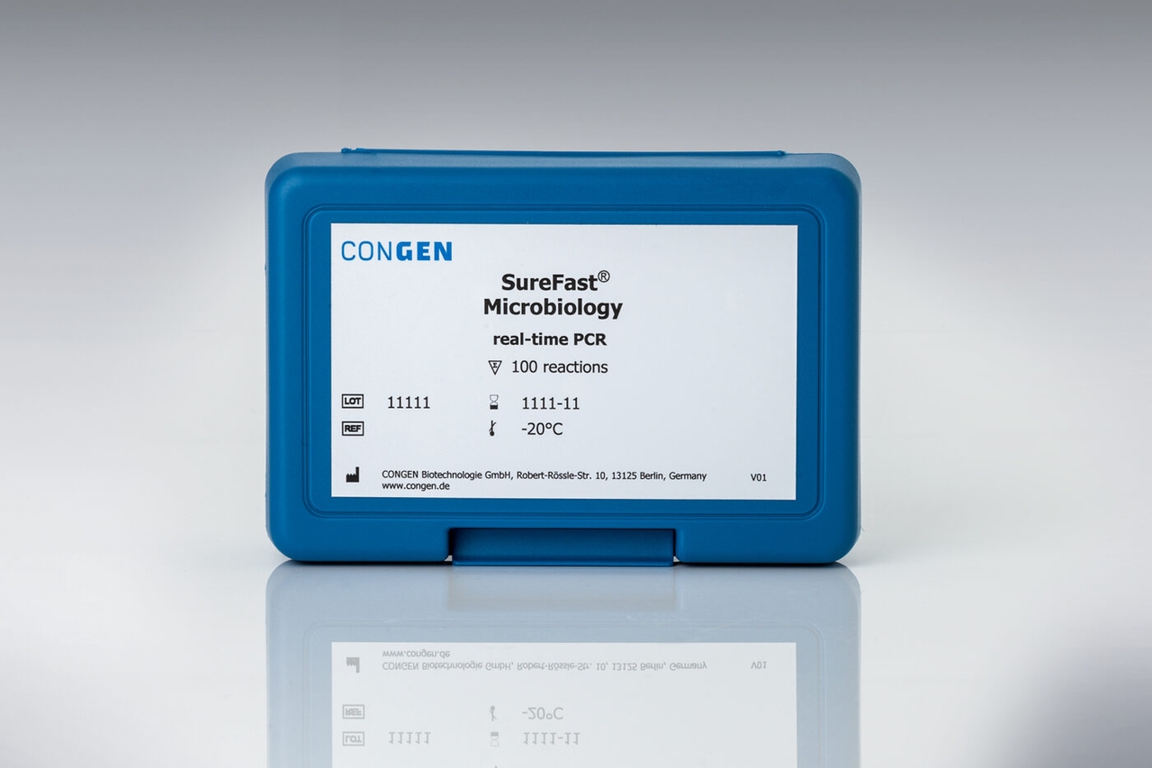 Kit real time PCR