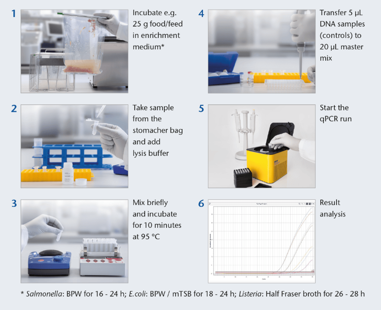 quy trình PCR với bộ Surefast