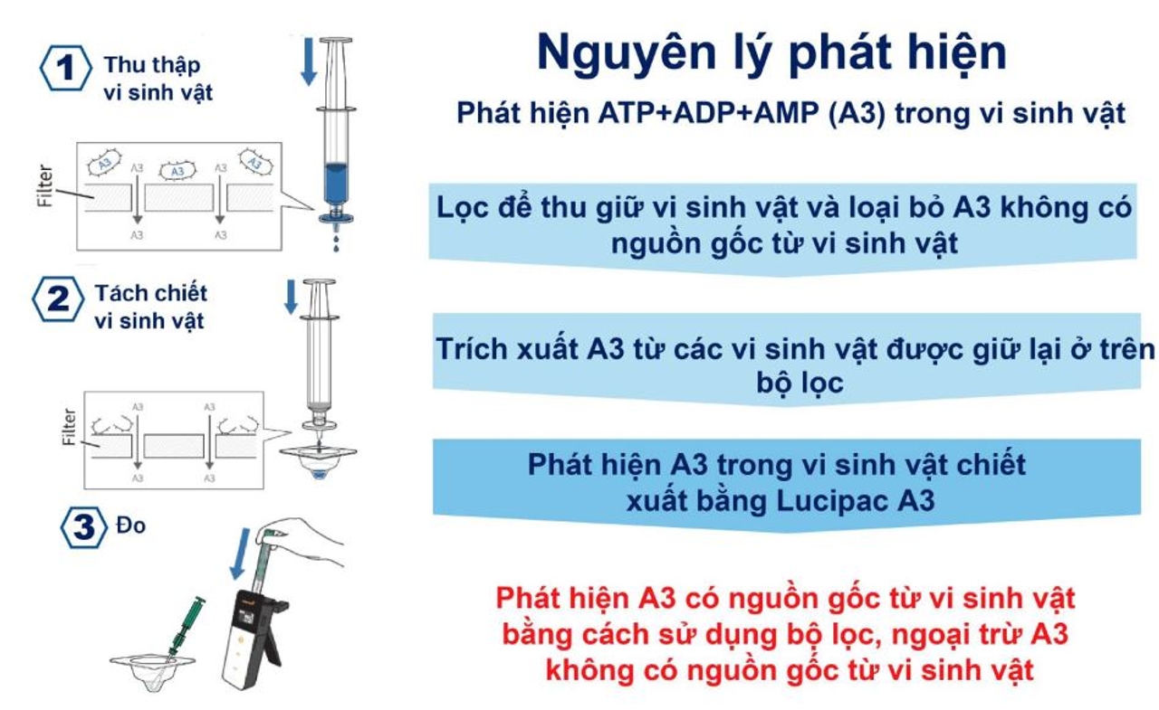 Nguyên lý của Lucipac A3 Filter Assay