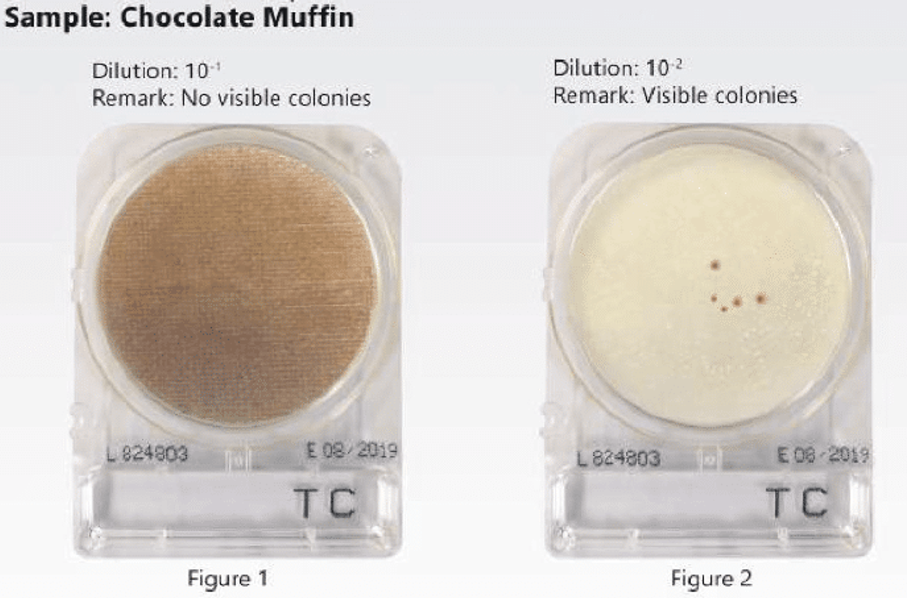 Chocolate muffin