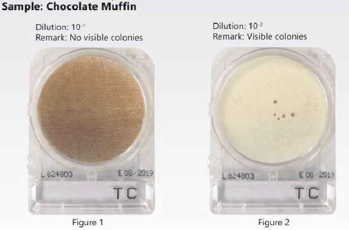 Chocolate muffin