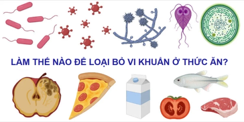 Làm thế nào để loại bỏ vi khuẩn ở thức ăn