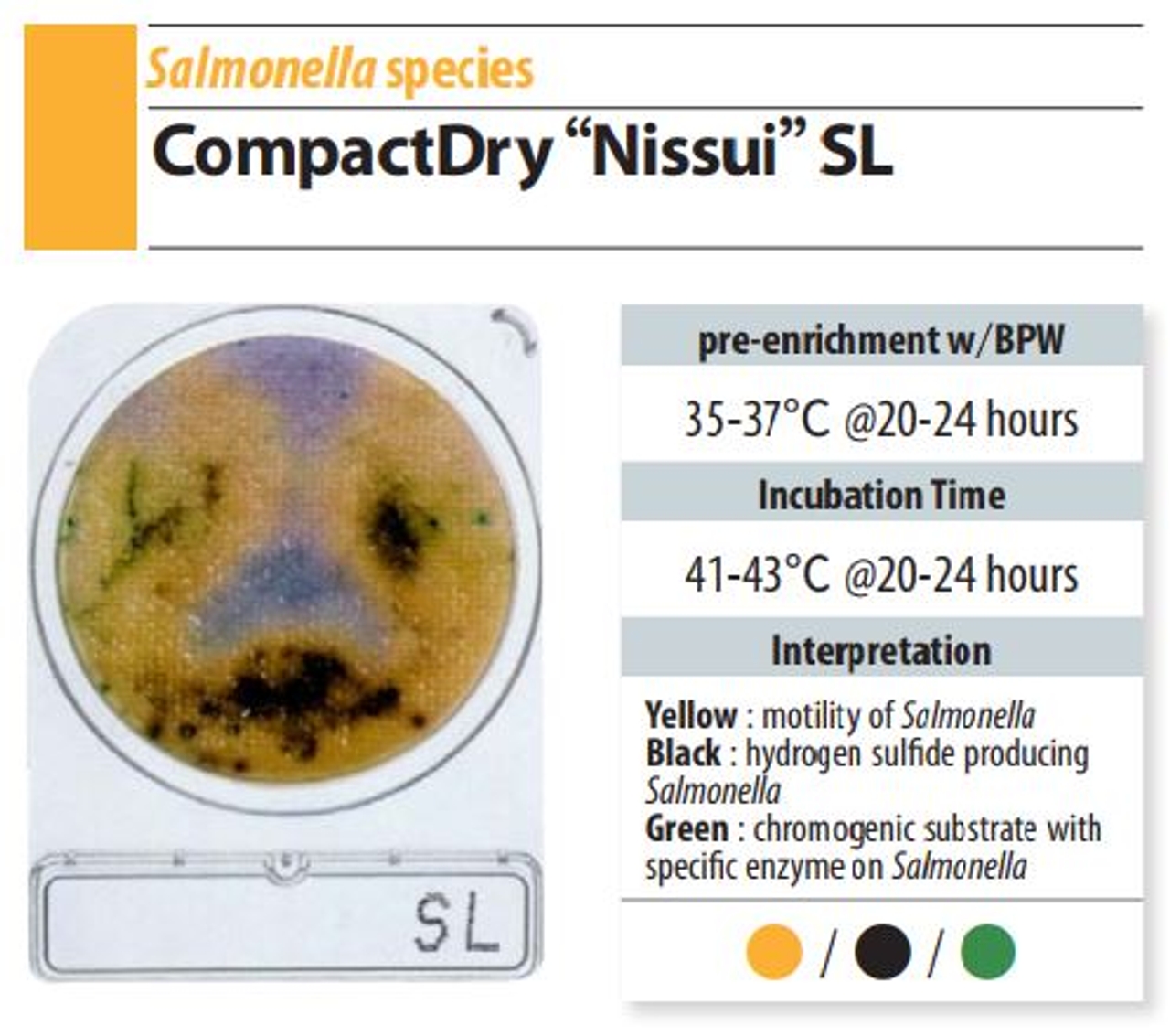Đĩa Compact Dry SL Salmonella