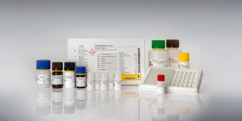 Kit Elisa kiểm tra dị ứng casein