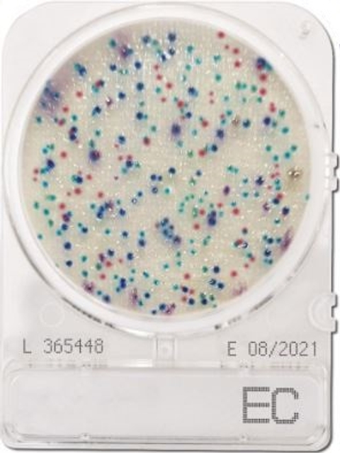 Compact Dry EC Ecoli Coliform