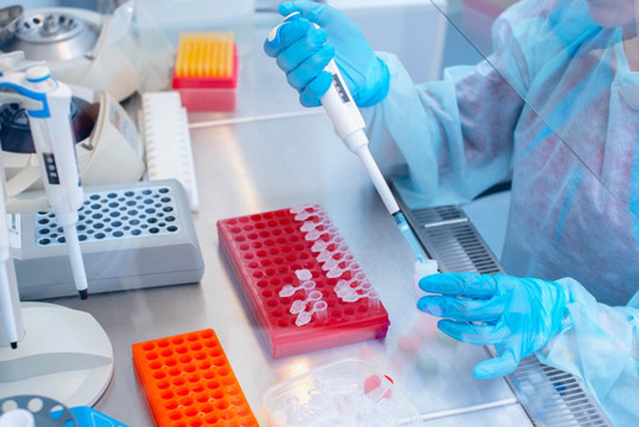 Phương pháp PCR trong kiểm nghiệm vi sinh