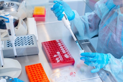Phương pháp PCR trong kiểm nghiệm vi sinh