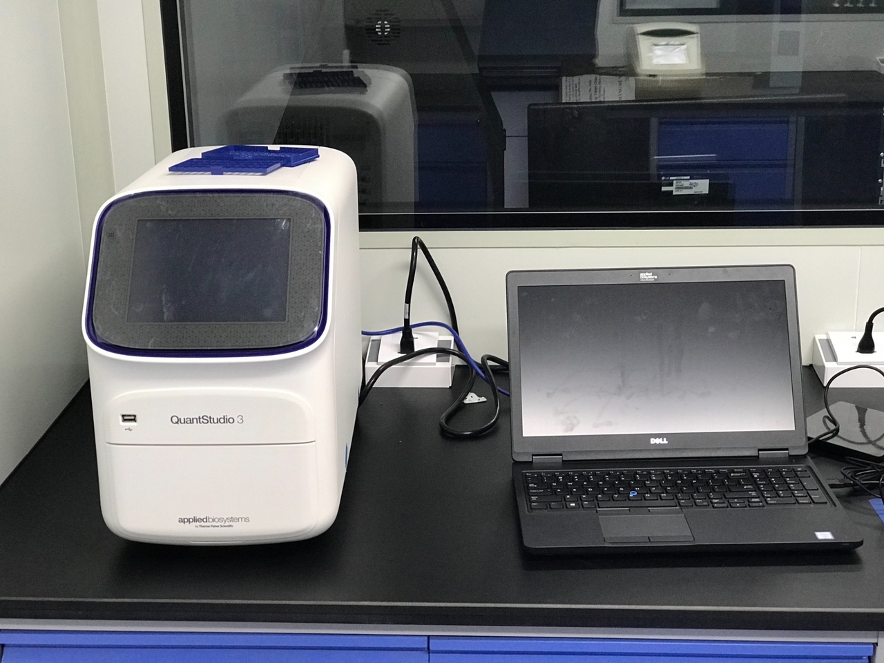Hệ thống Realtime PCR 2