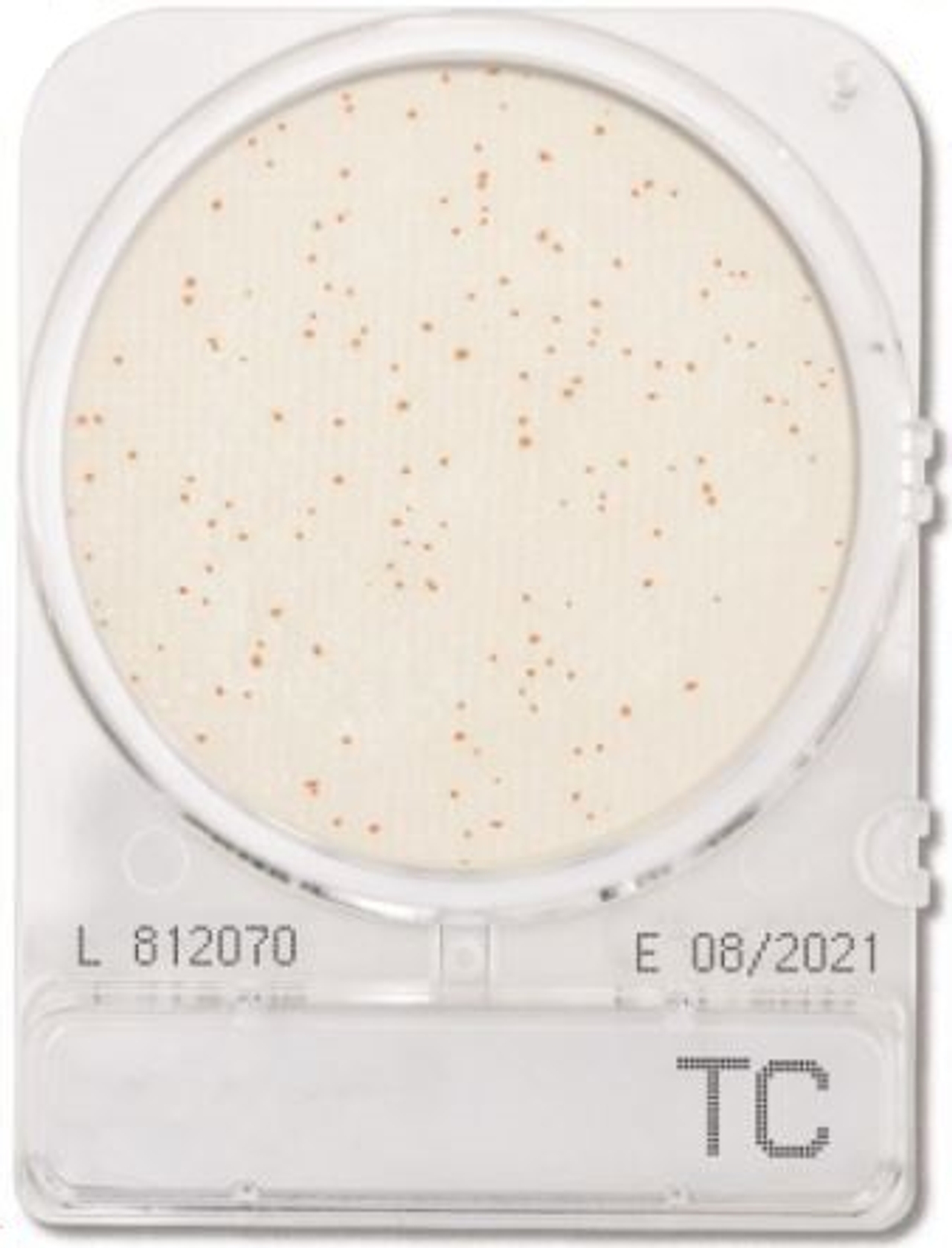 Đĩa Compact Dry Total Viable Count