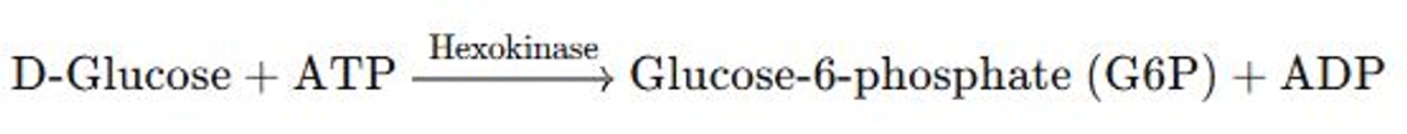 Phản ứng Glucose