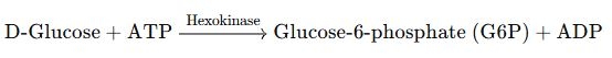 Phản ứng Glucose