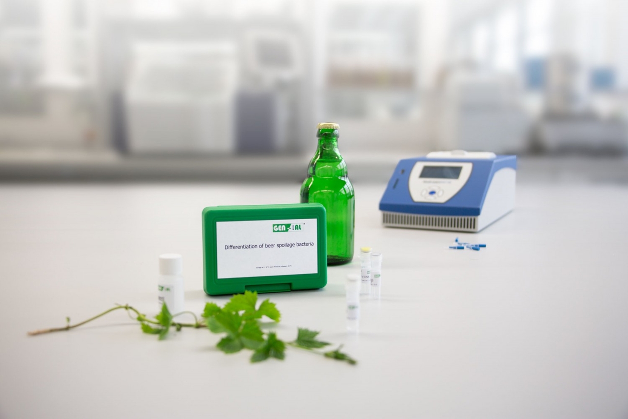 First-Bacteria PCR Kit Enterobacteriacea