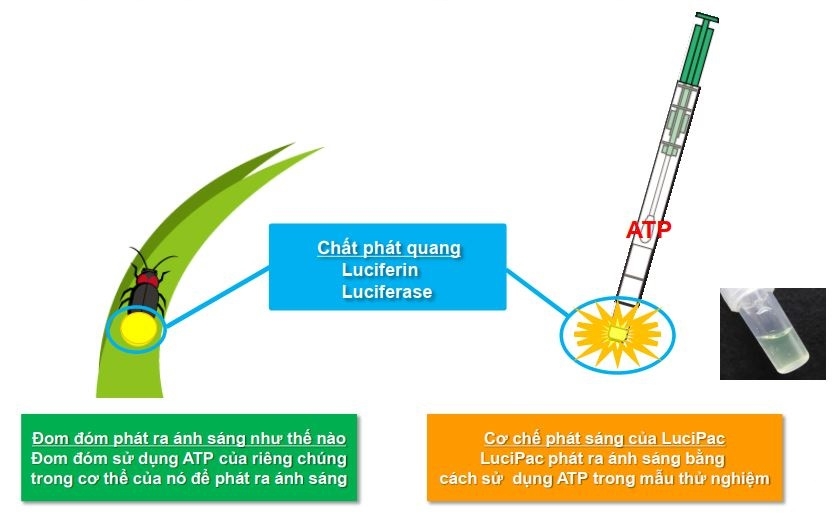 Nguyên lý đo của máy ATP