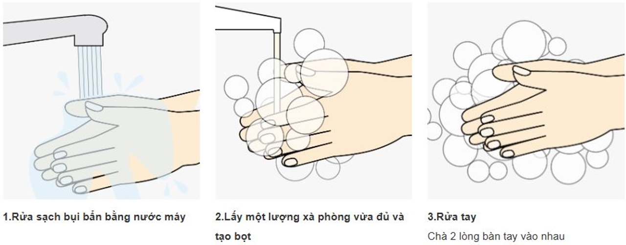 Quy trình rửa tay 1