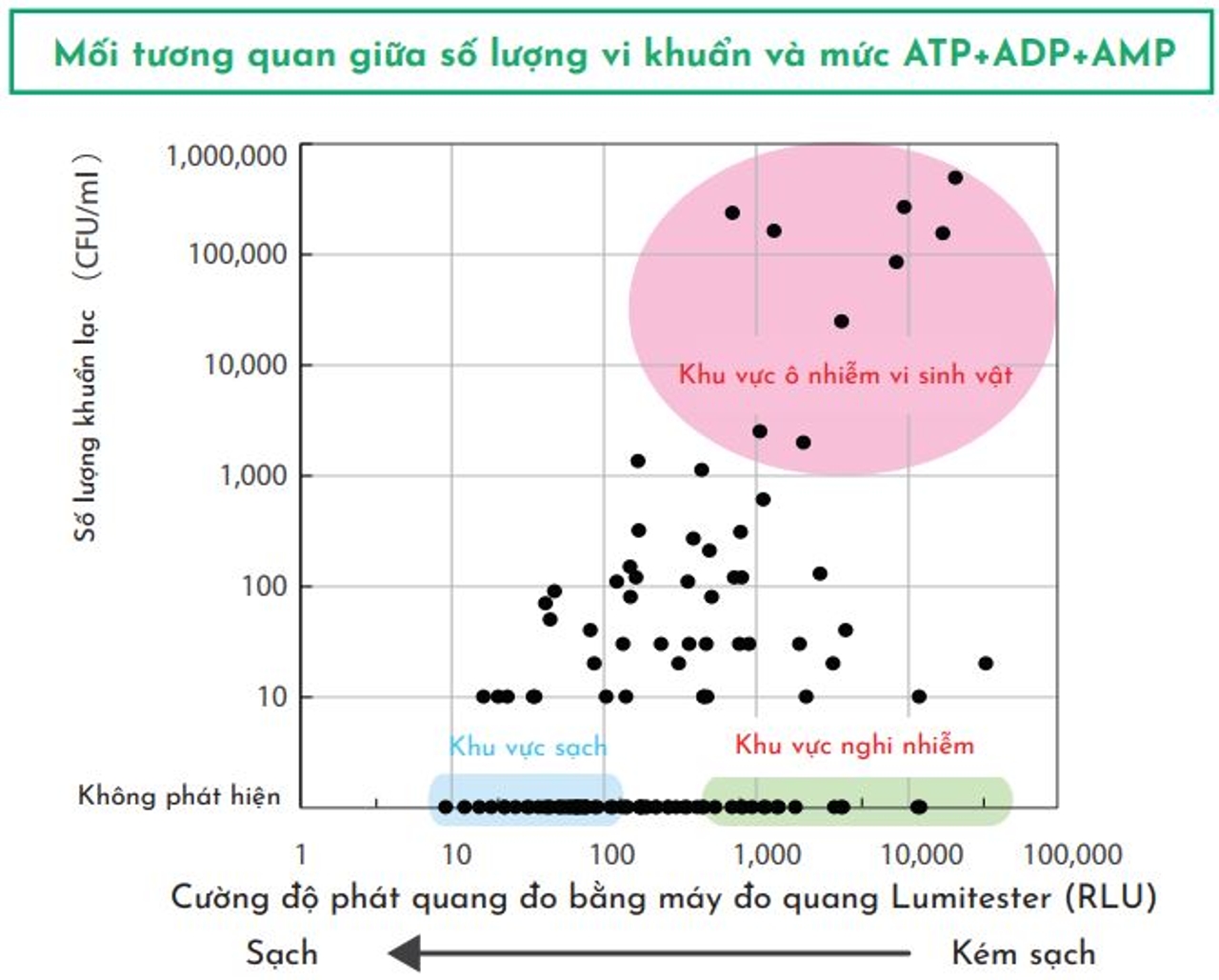 Mối tương quan giữa số lượng vi khuẩn và ATP